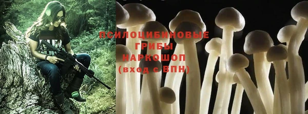 MESCALINE Надым