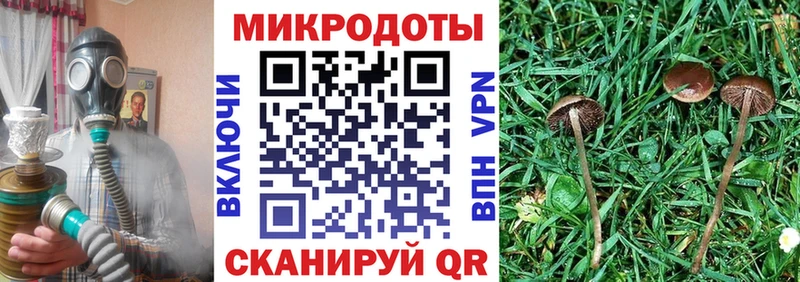 Галлюциногенные грибы MAGIC MUSHROOMS Нелидово